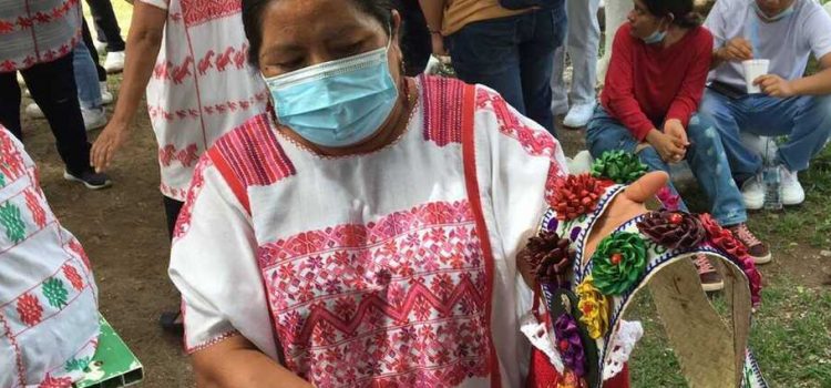 Mujeres de la Montaña de Guerrero piden a AMLO médicos bilingües.