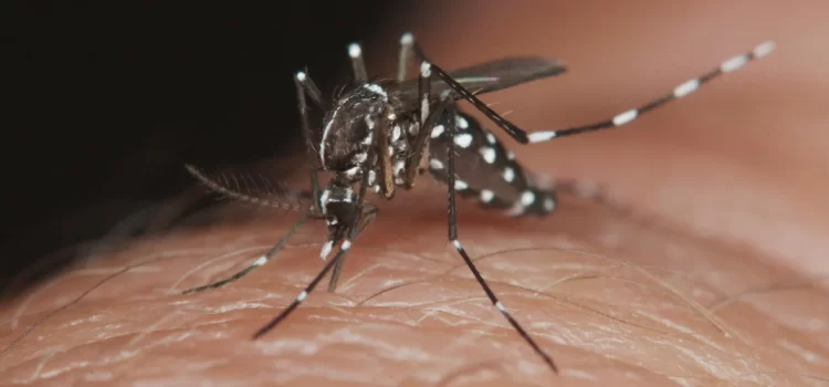 Registran dos muertes por dengue en Guerrero