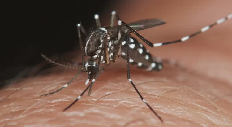 Registran dos muertes por dengue en Guerrero