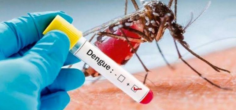Sin control los contagios de dengue en Guerrero