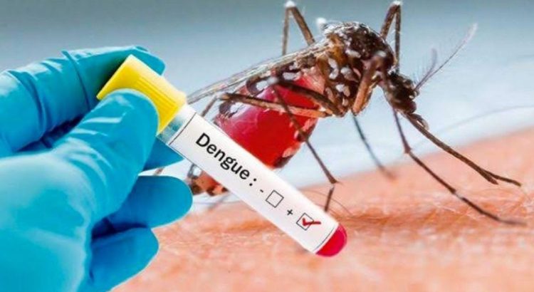 Sin control los contagios de dengue en Guerrero