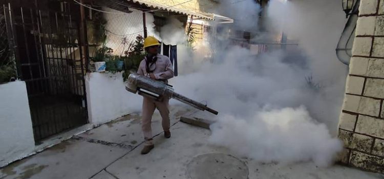 Reportan 10 muertos y más de 15 mil casos de dengue en Guerrero
