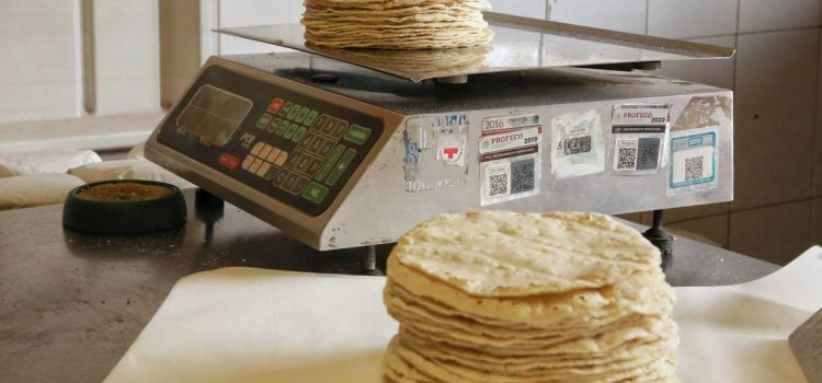 Solicitan apoyos para poder bajar el precio de la tortilla