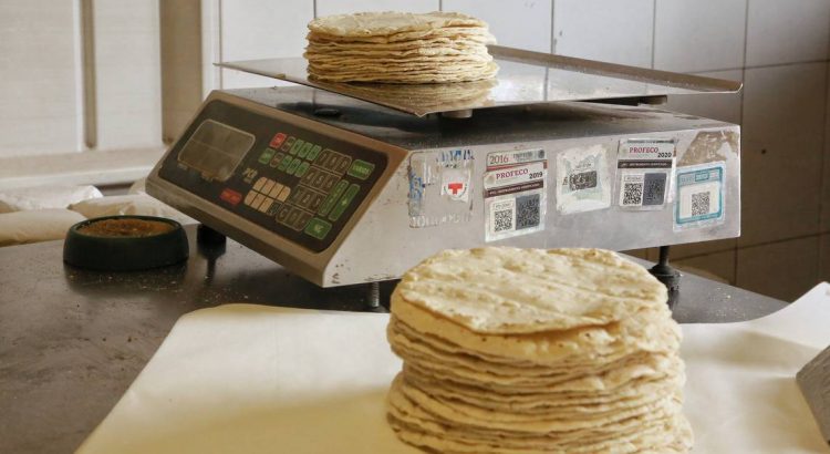 Solicitan apoyos para poder bajar el precio de la tortilla