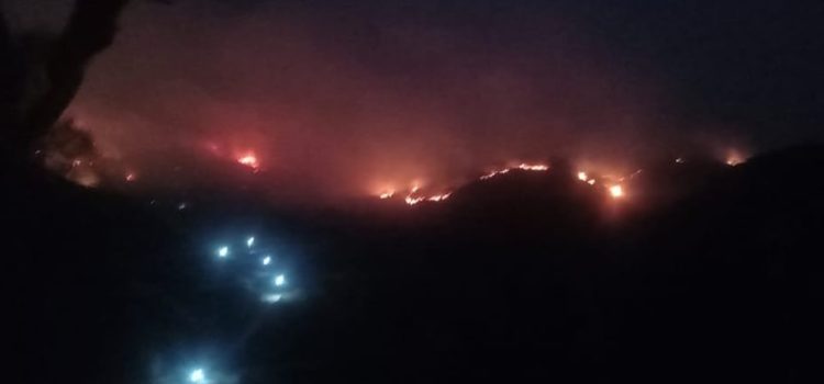 Cabañas son consumidas por el incendio en Chilpancingo