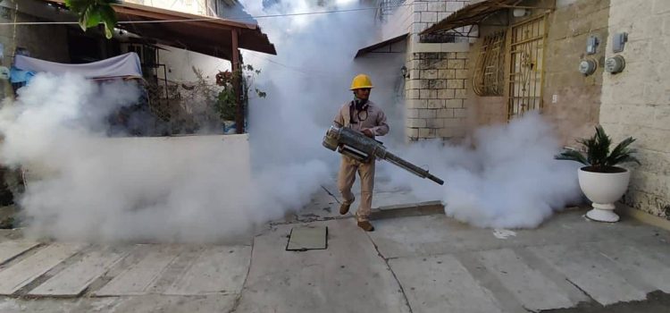 Confirman cinco muertes por dengue
