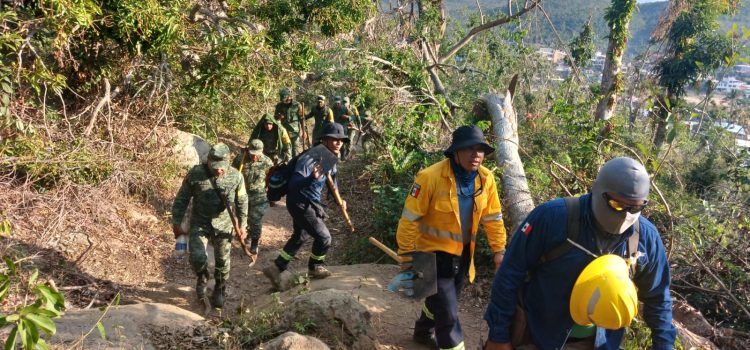 Combaten tres incendios forestales en Acapulco