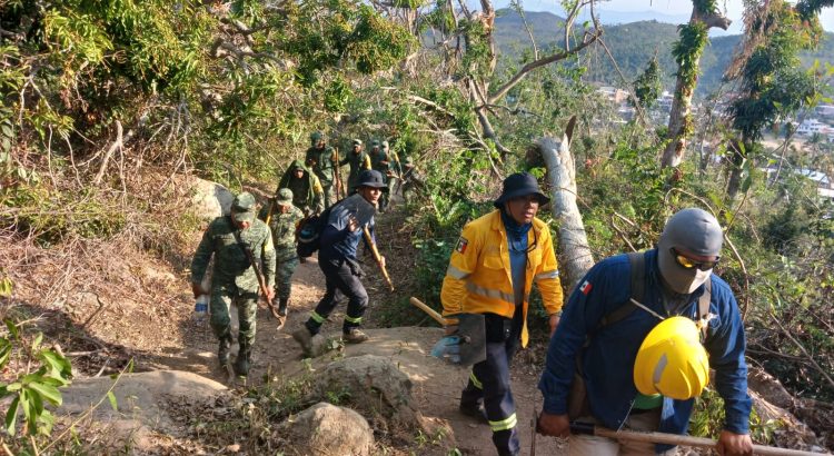 Combaten tres incendios forestales en Acapulco