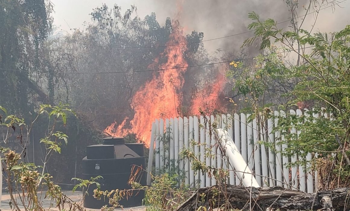Incendio consume seis hectáreas en la zona Diamante de Acapulco