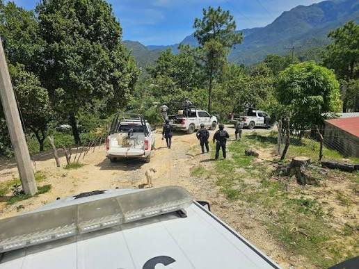 Gobierno niega ataques y desplazamientos en la Sierra